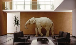 Feng Shui: Get Lucky By Using Elephant As Part Of Your Home Décor