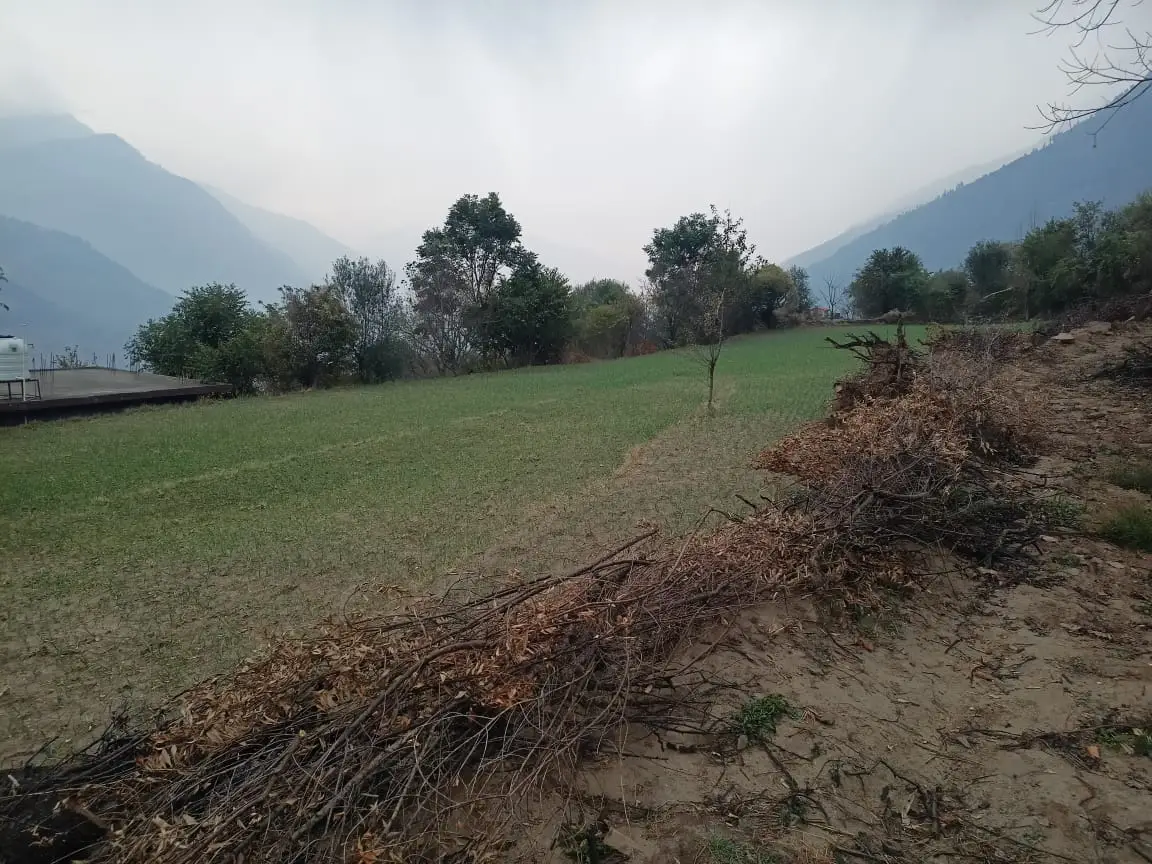 WhatsApp Image 2024-08-19 at 21.33.47