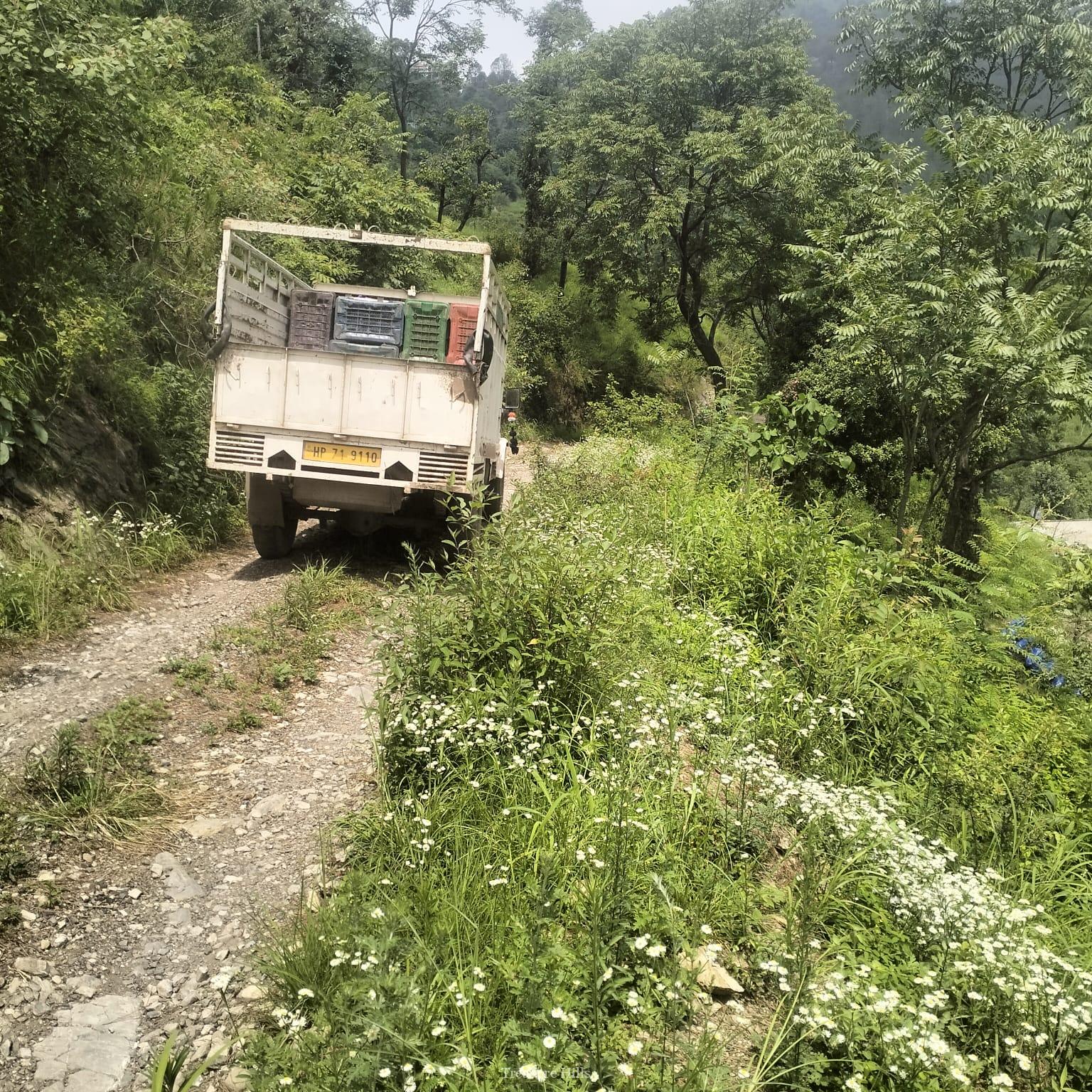 120 bigha for sale in sirmour (6)