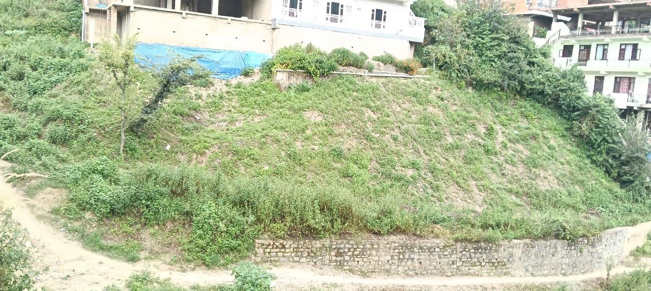 5 Biswa in Solan (2)