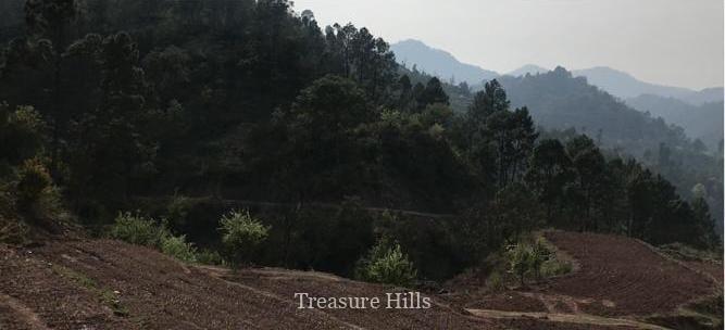 90 Bighas for sale in Rajgarh (1)