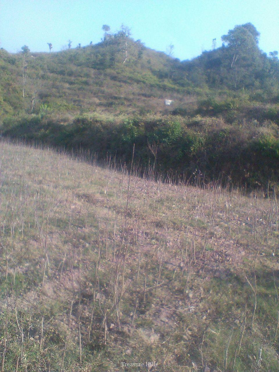 90 Bighas for sale in Rajgarh (4)