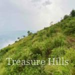 12 Bigha Hilltop Plot for Sale Near Solan | Ideal for Hotels, Resorts & Villas | Panoramic Views