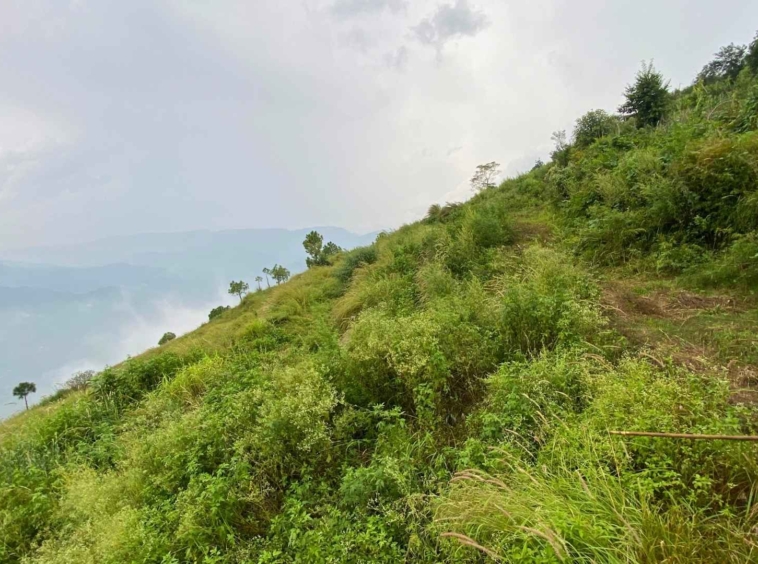 12 Bigha Hilltop Plot for Sale Near Solan | Ideal for Hotels, Resorts & Villas | Panoramic Views
