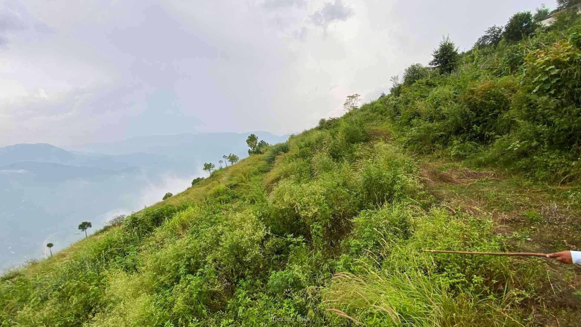 12 Bigha Hilltop Plot for Sale Near Solan | Ideal for Hotels, Resorts & Villas | Panoramic Views