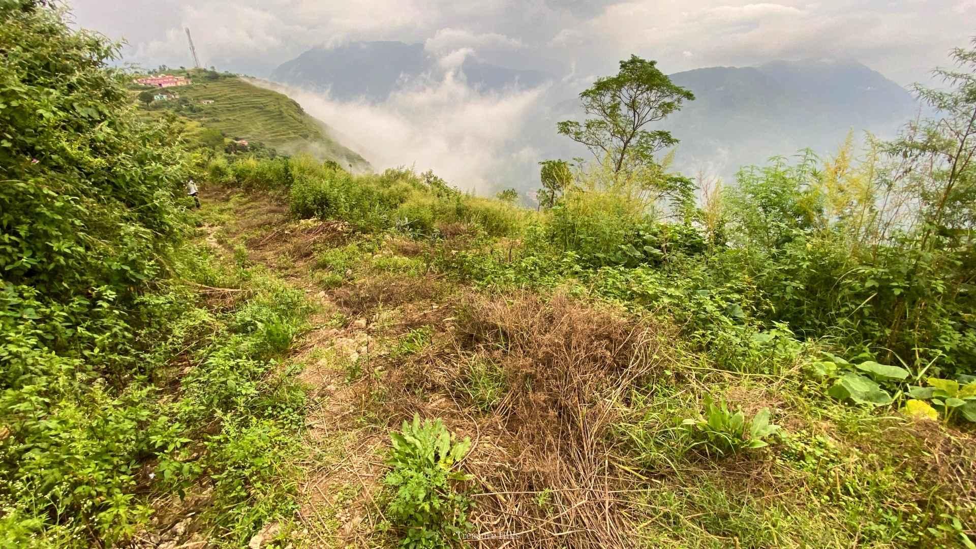12 Bigha Hilltop Plot for Sale Near Solan | Ideal for Hotels, Resorts & Villas | Panoramic Views