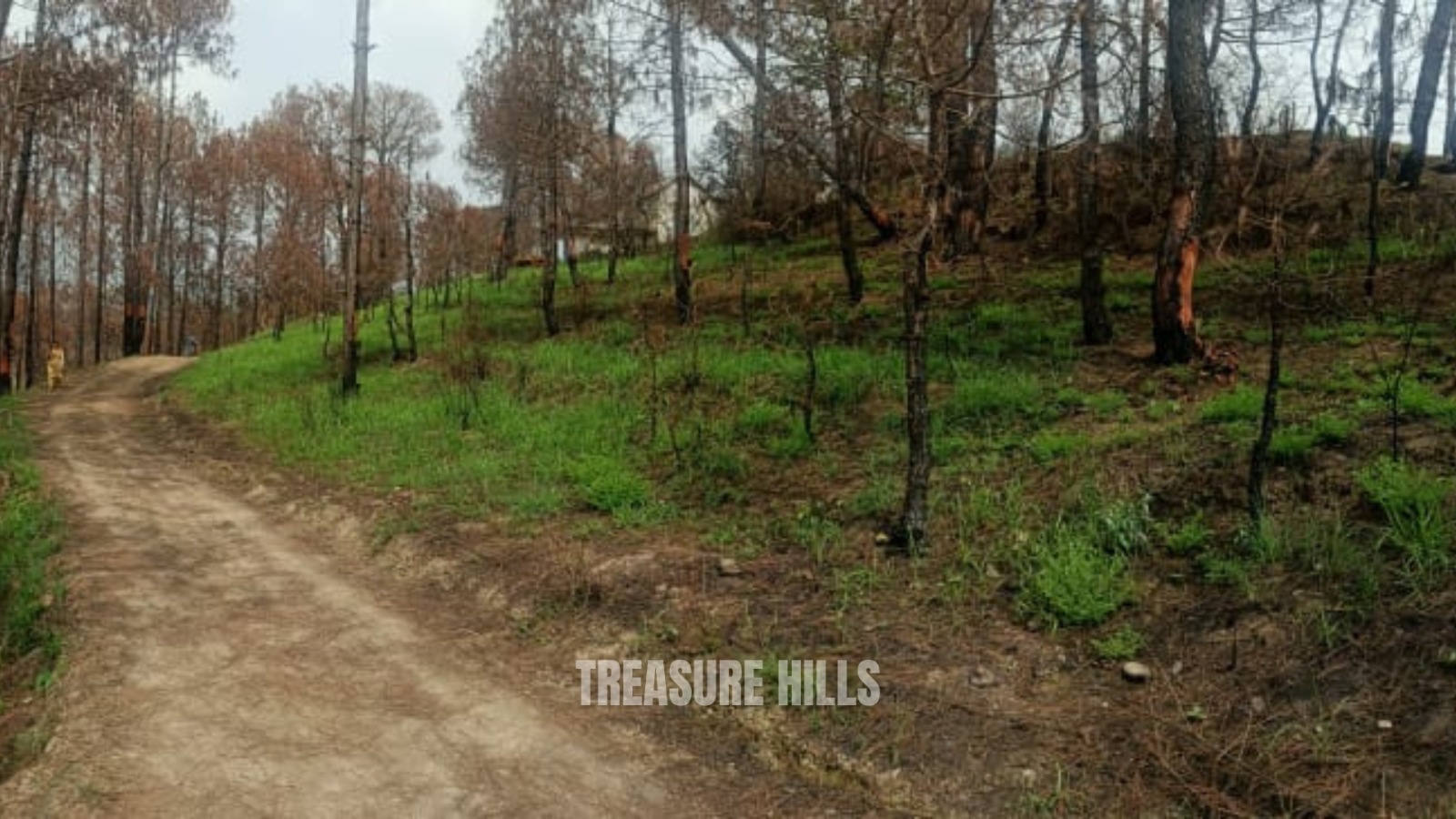 WhatsApp Image 2024-09-02 at 5.10.27 AM