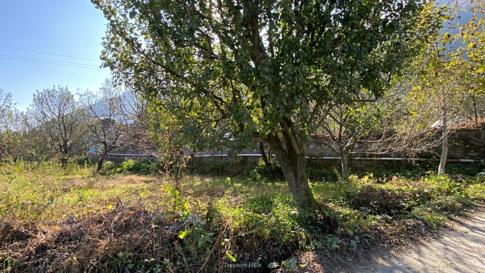 10 Biswa Residential Plot for Sale Near Manali Only 300 Meters from NH Scenic & Peaceful Location (2) 10 Biswa Residential Plot for Sale Near Manali Only 300 Meters from NH Scenic & Peaceful Location (2)