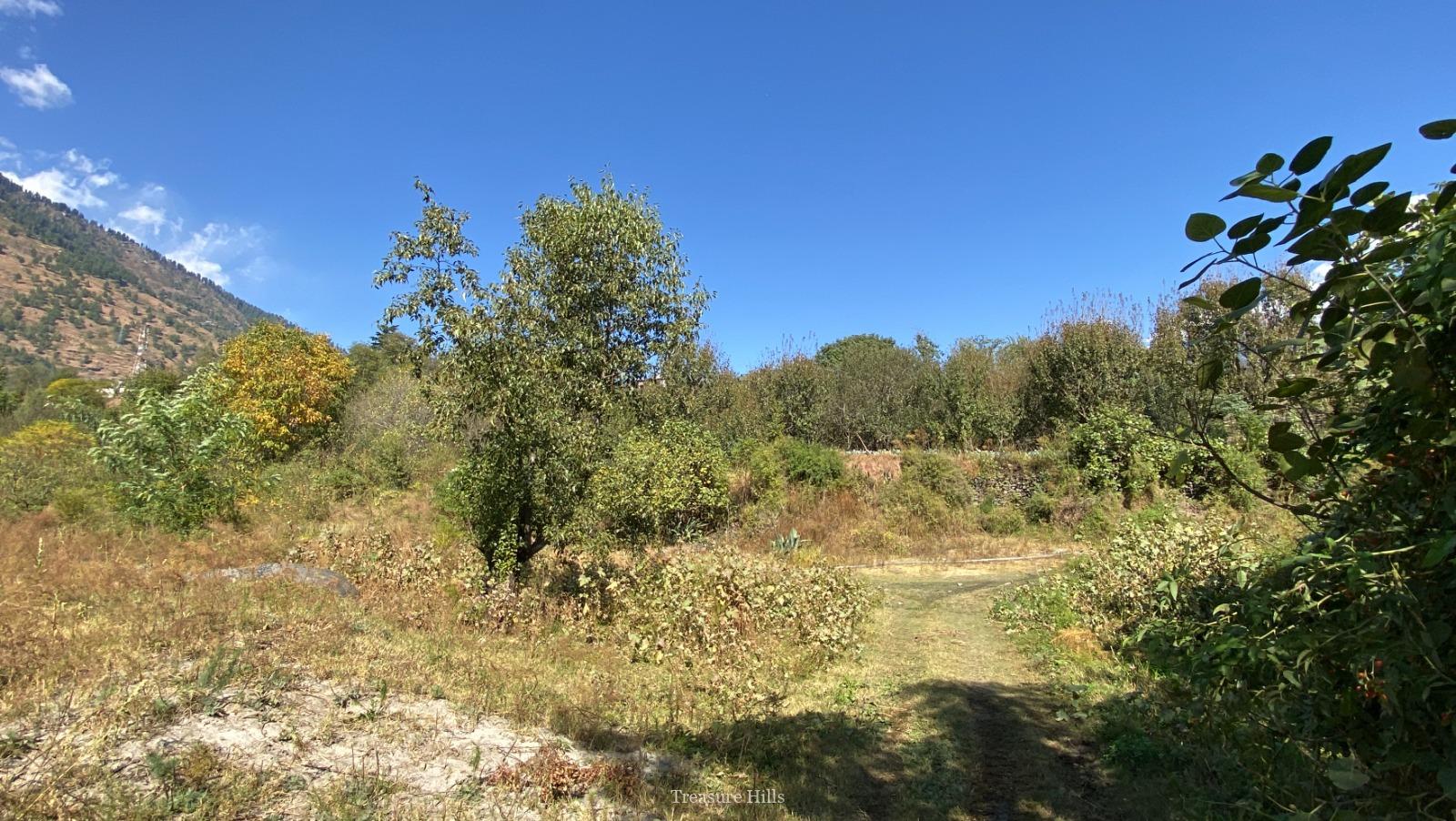 7 Bigha Drive-In Land Near Kullu-Manali, Himachal Pradesh #treasurehills #realestate (3)