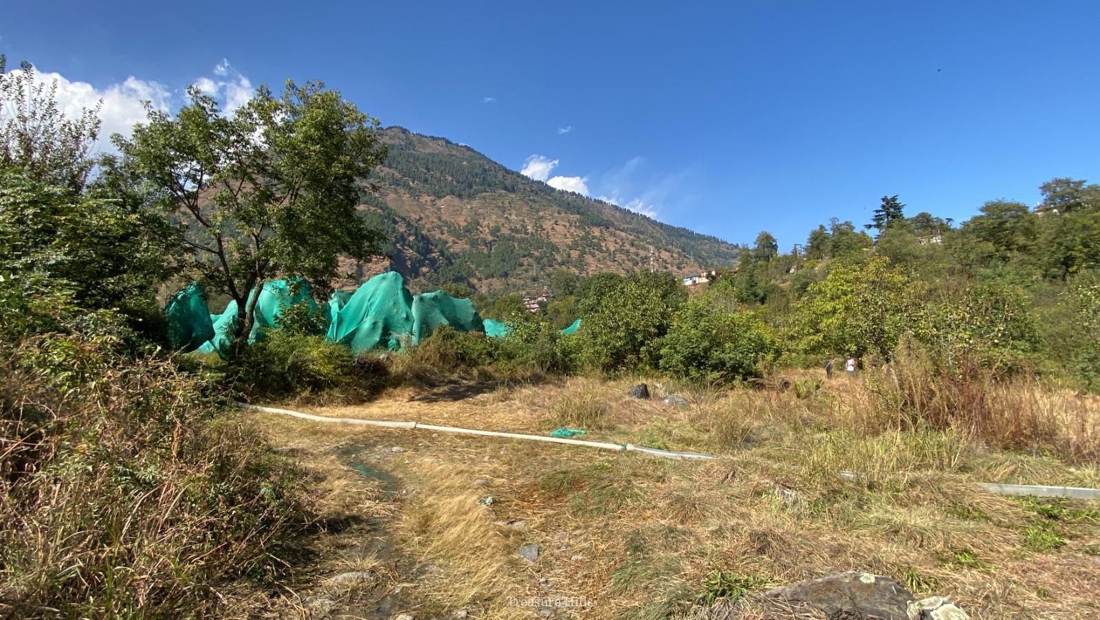 7 Bigha Drive-In Land Near Kullu-Manali, Himachal Pradesh #treasurehills #realestate (6)