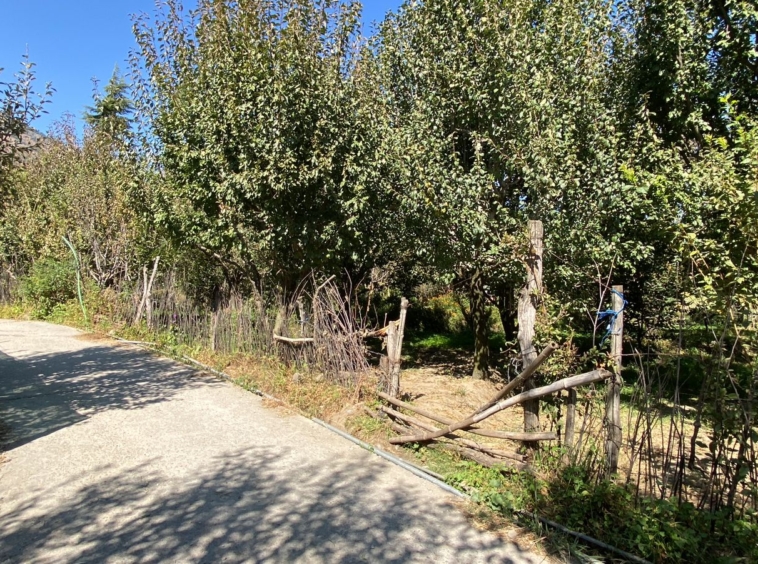 1 Bigha Scenic Drive-In Property Near Kullu | Ideal for Vacation Homes | Peaceful & Sunny Location