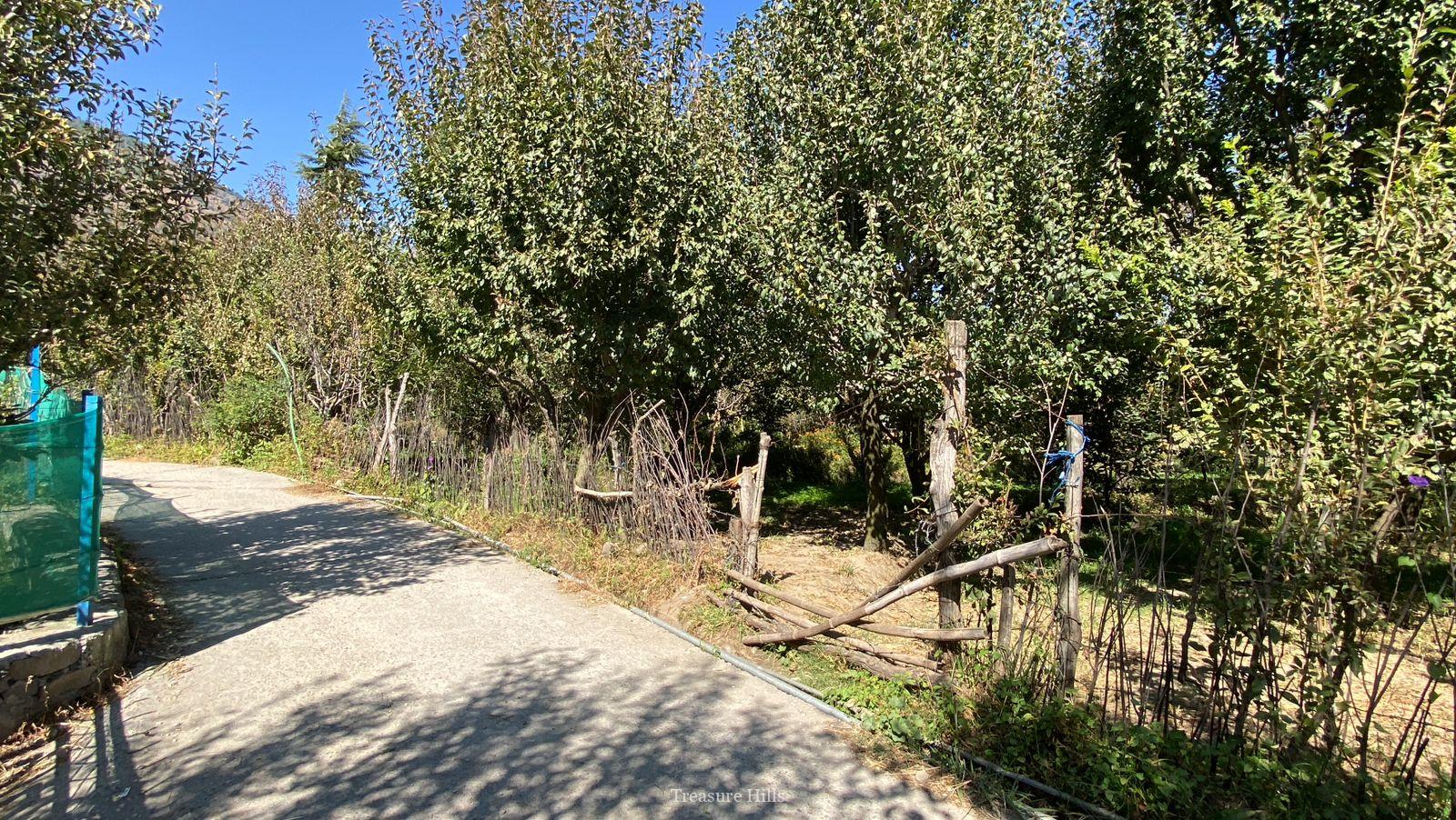 1 Bigha Scenic Drive-In Property Near Kullu | Ideal for Vacation Homes | Peaceful & Sunny Location