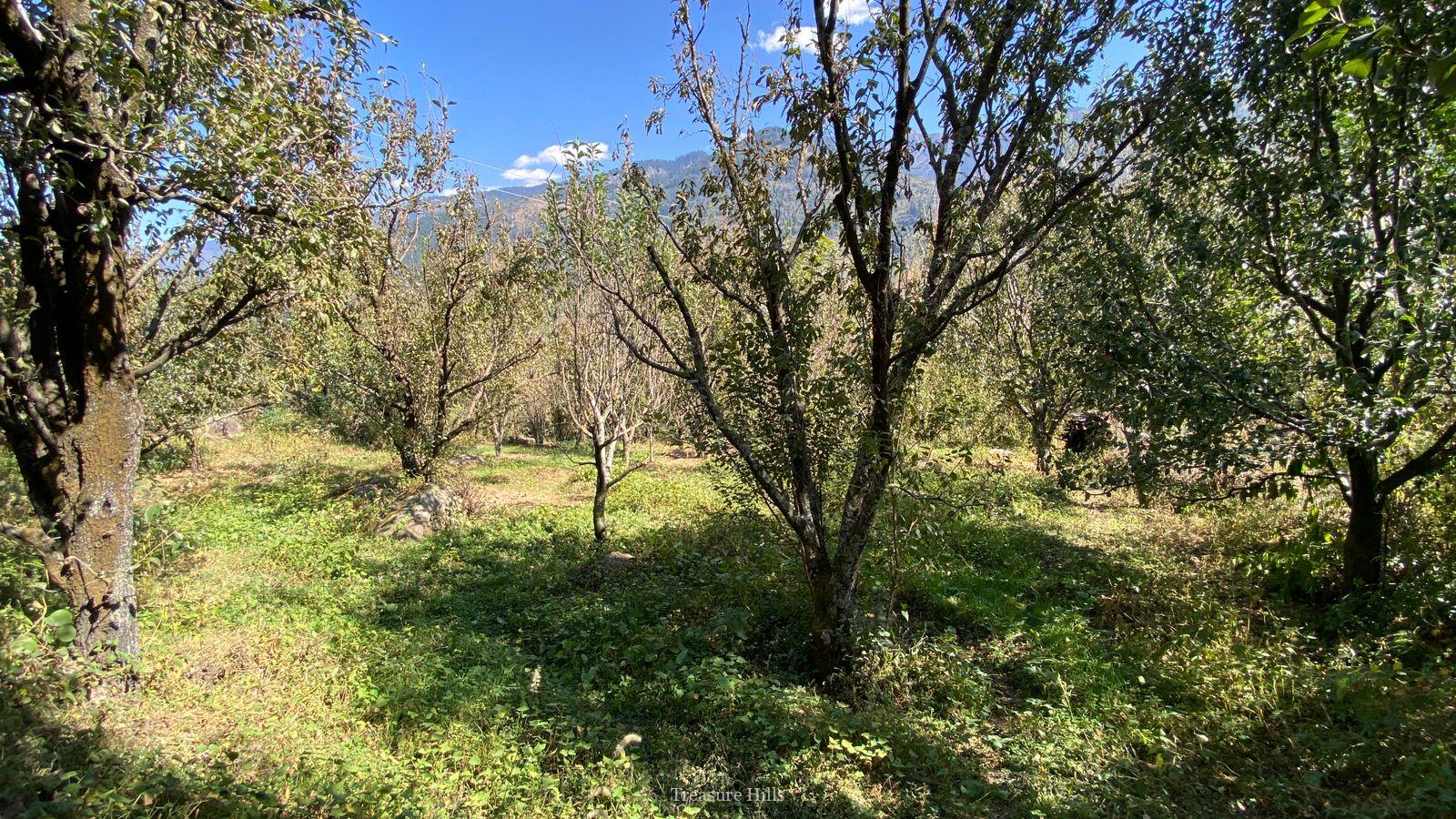 1 Bigha Scenic Drive-In Property Near Kullu | Ideal for Vacation Homes | Peaceful & Sunny Location