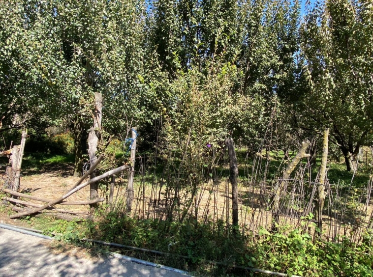 1 Bigha Scenic Drive-In Property Near Kullu | Ideal for Vacation Homes | Peaceful & Sunny Location