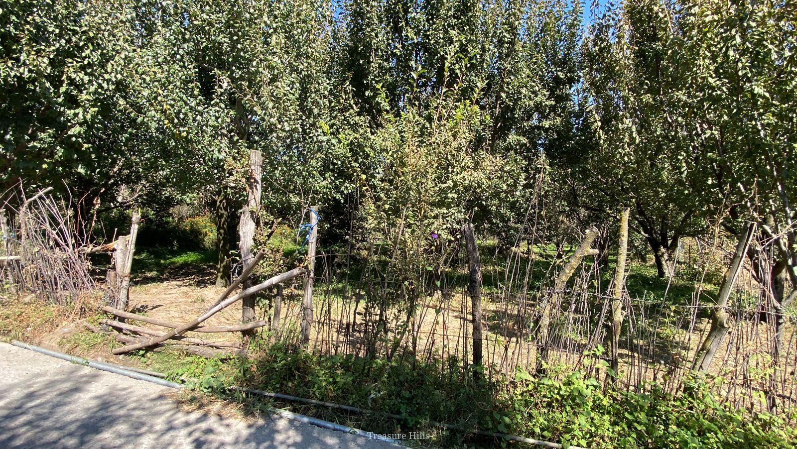 1 Bigha Scenic Drive-In Property Near Kullu | Ideal for Vacation Homes | Peaceful & Sunny Location