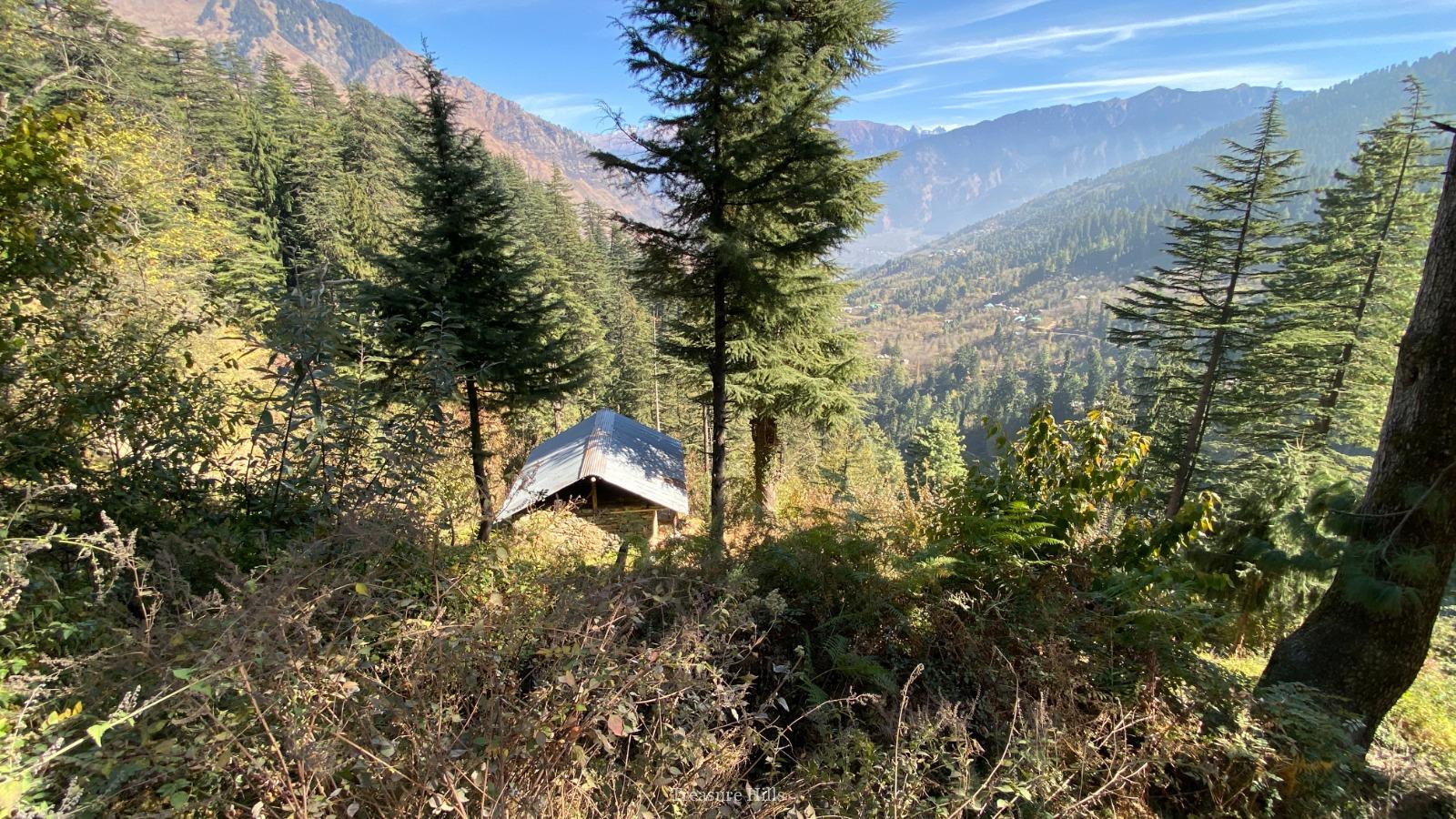 2.5+ Bighas Road-Touch Land for Sale Scenic Tourism Property with Plum Trees & Mountain Views (1)