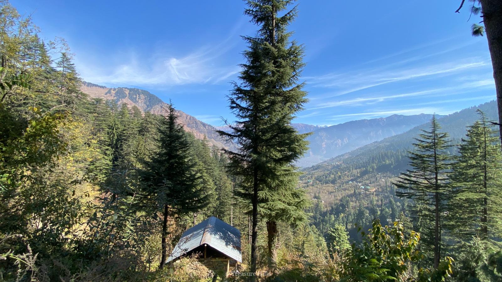 2.5+ Bighas Road-Touch Land for Sale Scenic Tourism Property with Plum Trees & Mountain Views (2)