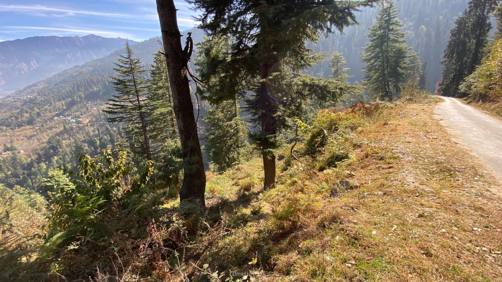 2.5+ Bighas Road-Touch Land for Sale Scenic Tourism Property with Plum Trees & Mountain Views (3)