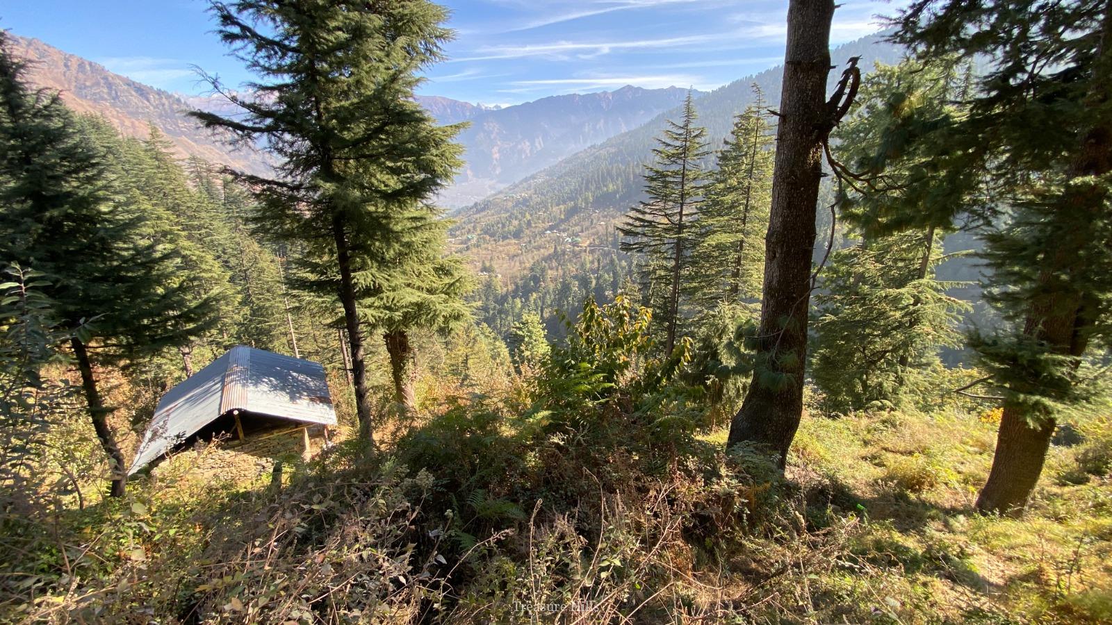 2.5+ Bighas Road-Touch Land for Sale Scenic Tourism Property with Plum Trees & Mountain Views (4)