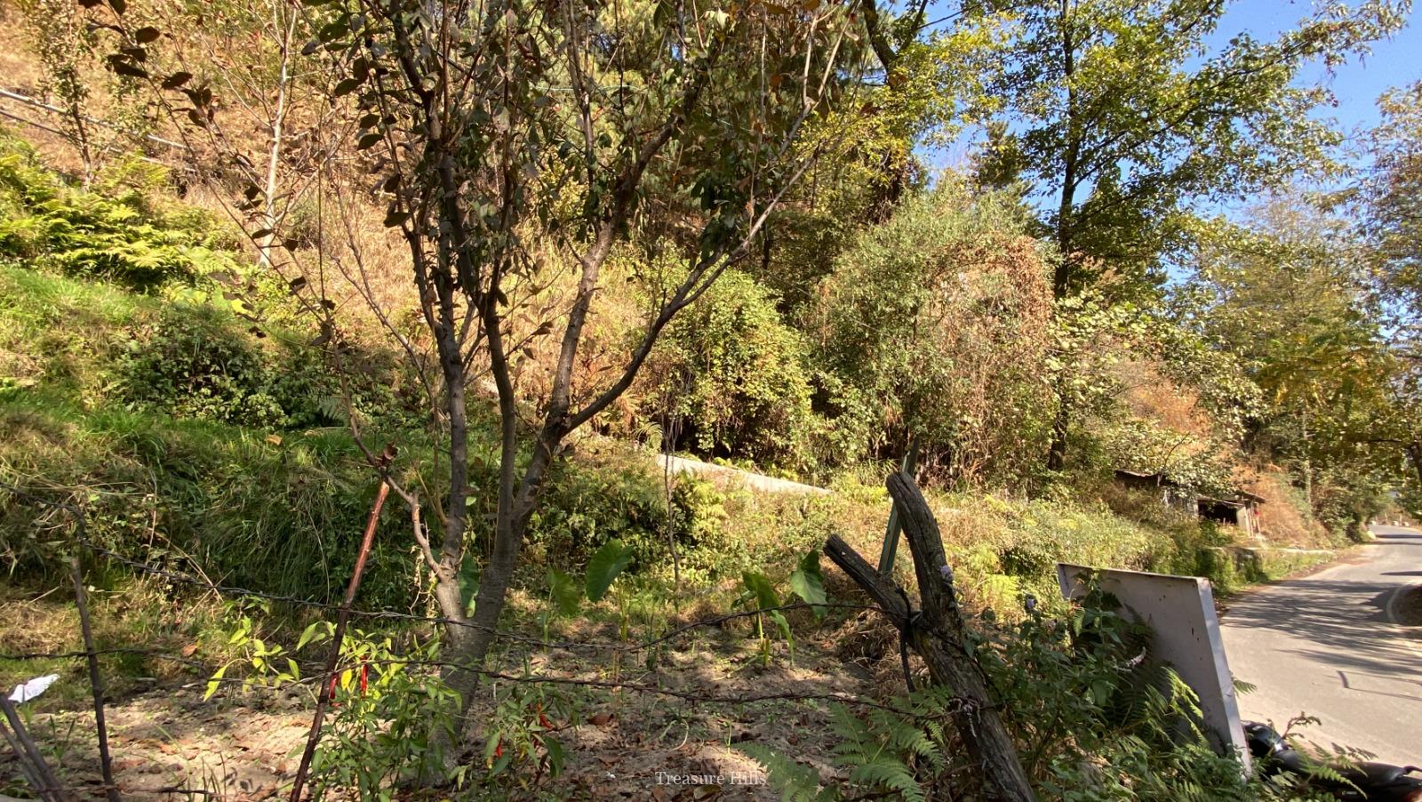 25 Biswa Land for Sale near Manali Scenic & Peaceful with Orchards Ideal for Cottages & Tourism (3)