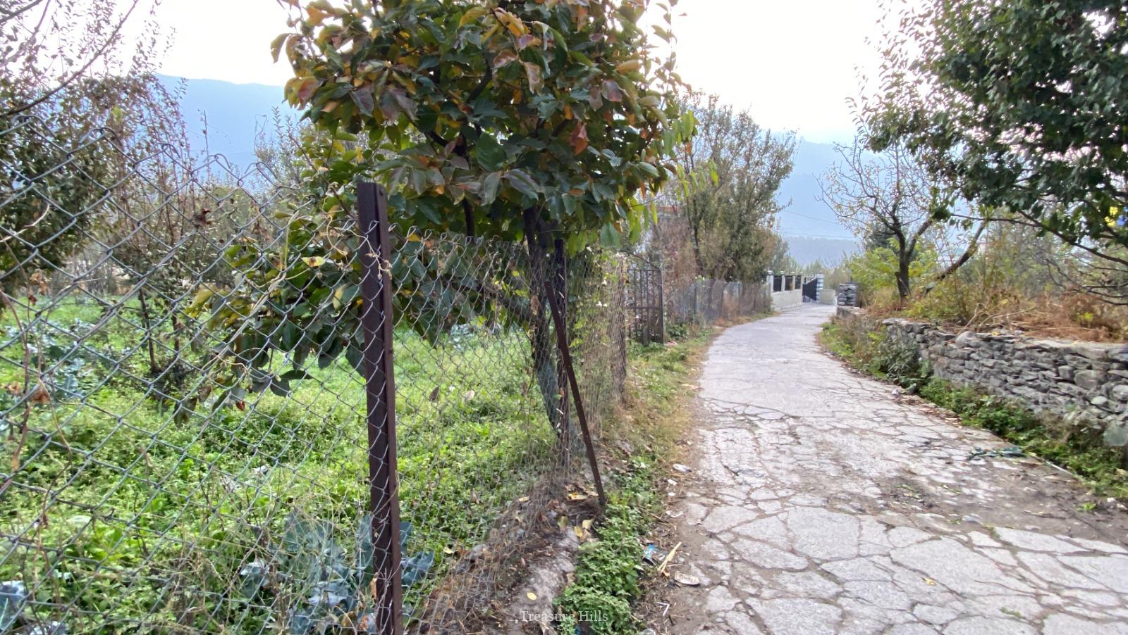 3 Bigha plot for sale in kullu manali (2)