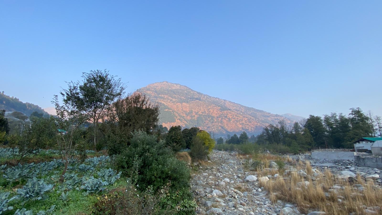 3 Bigha plot for sale in kullu manali (5)