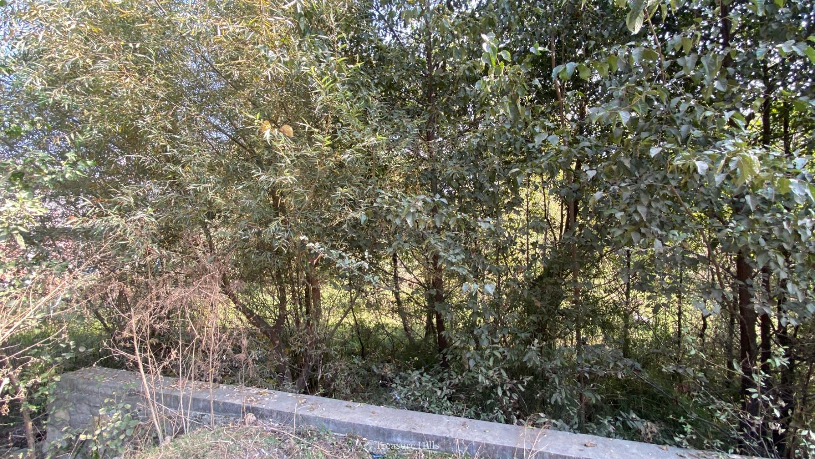 4 Bighas Prime Property on National Highway (3)