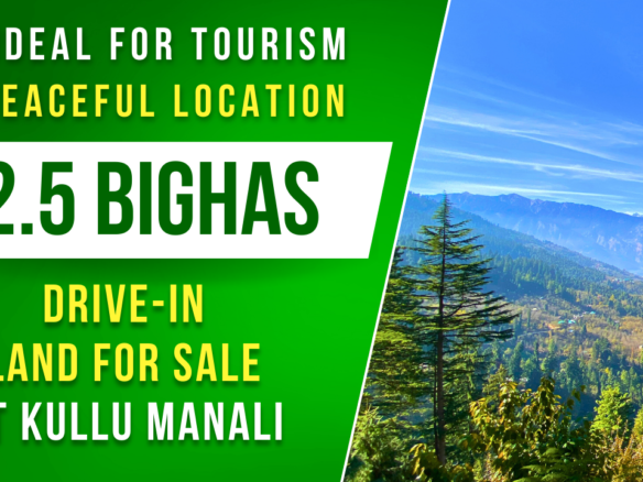 2.5+ Bighas Road-Touch Land for Sale | Scenic Tourism Property with Plum Trees & Mountain Views