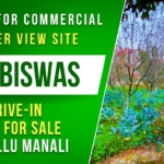21 Biswa for Sale in Manali