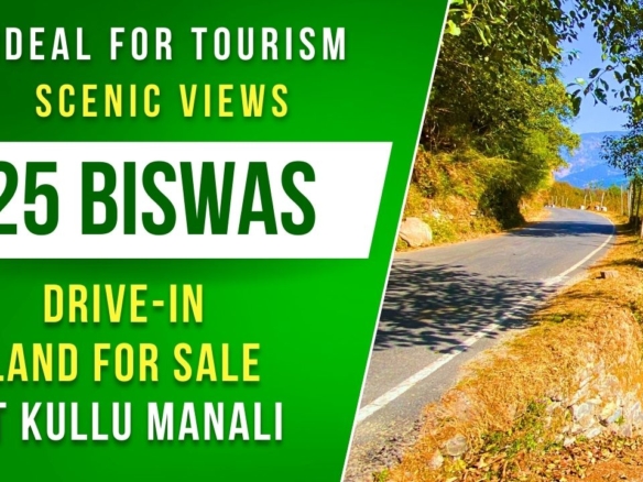 25 Biswa Land for Sale | Scenic & Peaceful with Orchards | Ideal for Cottages & Tourism