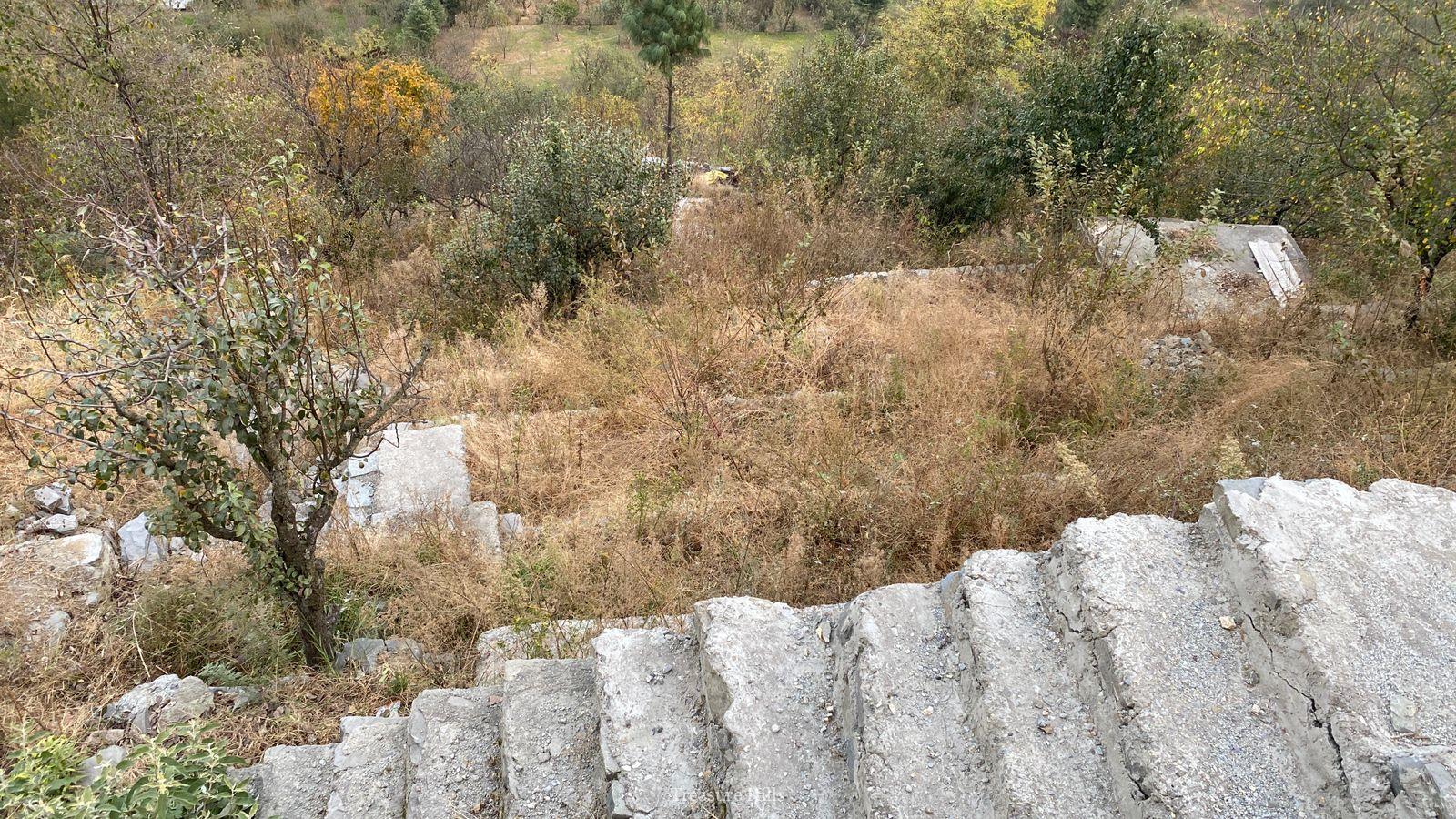 10 Biswa Mountain View Plot for Sale | Prime Drive-In Land in Kullu Manali | Scenic & Peaceful