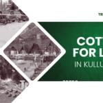 Commercial Property for Lease in Manali