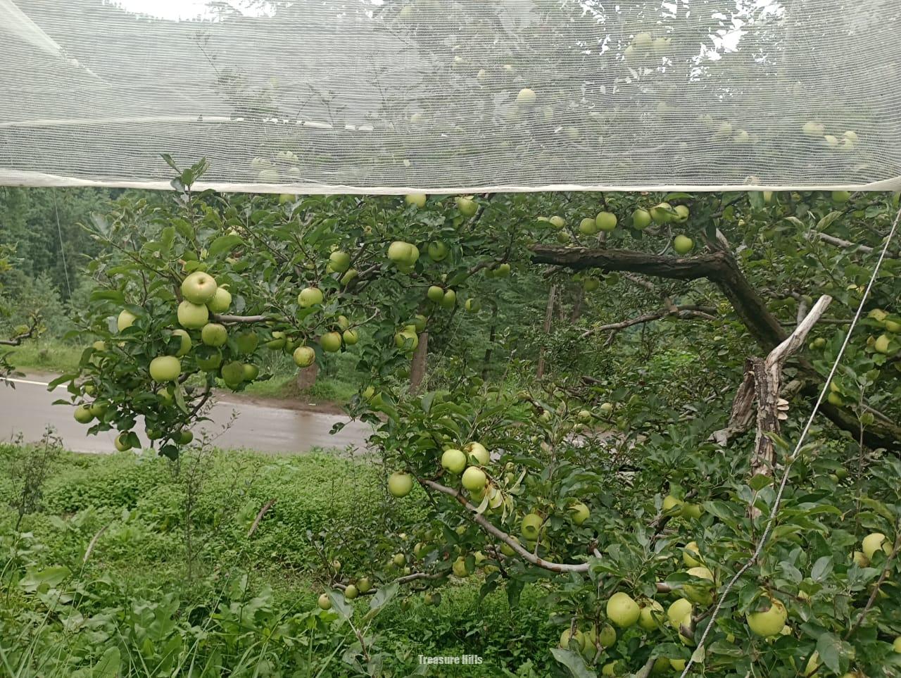 WhatsApp Image 2025-06-07 at 5.47.03 PM (3)