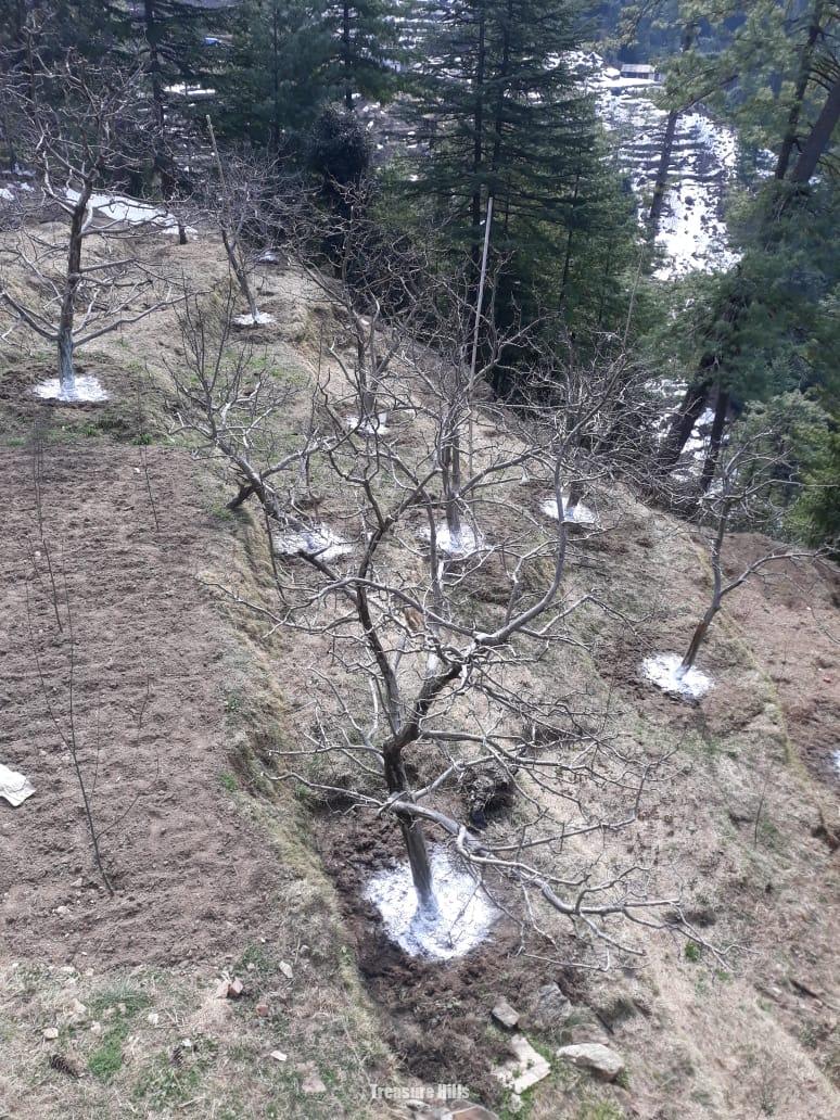 WhatsApp Image 2025-06-07 at 5.47.07 PM