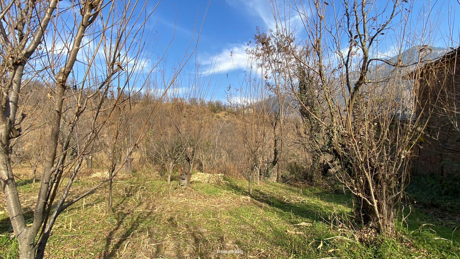 WhatsApp Image 2025-12-27 at 2.17.21 PM